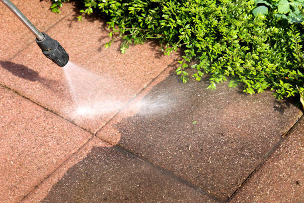 Best Local Pressure Washing Services  in Biloxi, MS