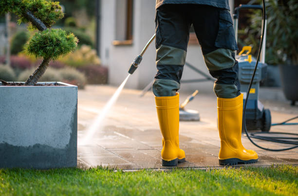 Best Roof Power Washing Services  in Biloxi, MS